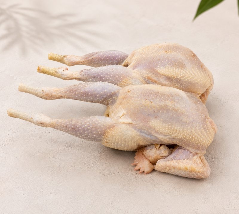 Live Chicken & Poultry